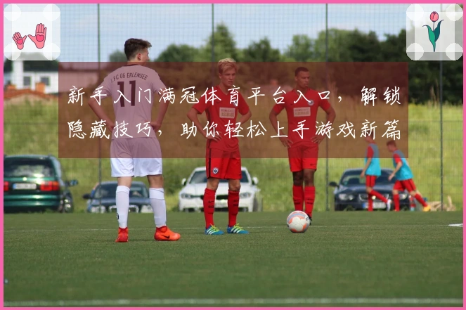 新手入门满冠体育平台入口，解锁隐藏技巧，助你轻松上手游戏新篇章