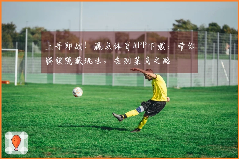 上手即战！赢点体育APP下载，带你解锁隐藏玩法，告别菜鸟之路